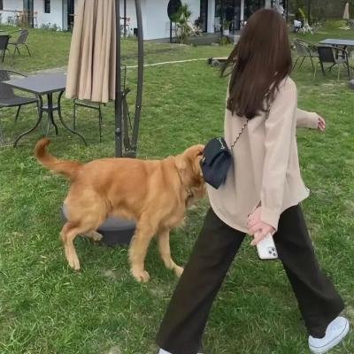 璀璨的光影人生